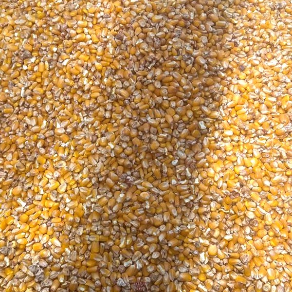 Broken corn screenings