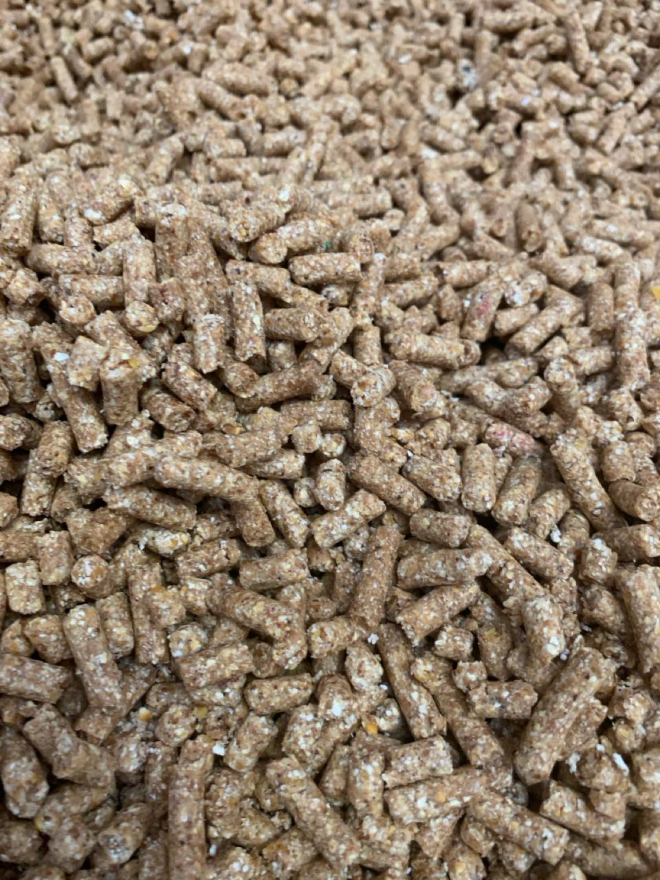 Corn pellets for livestock